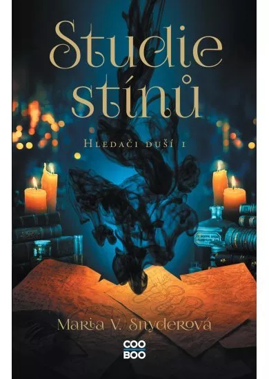 Studie stínů