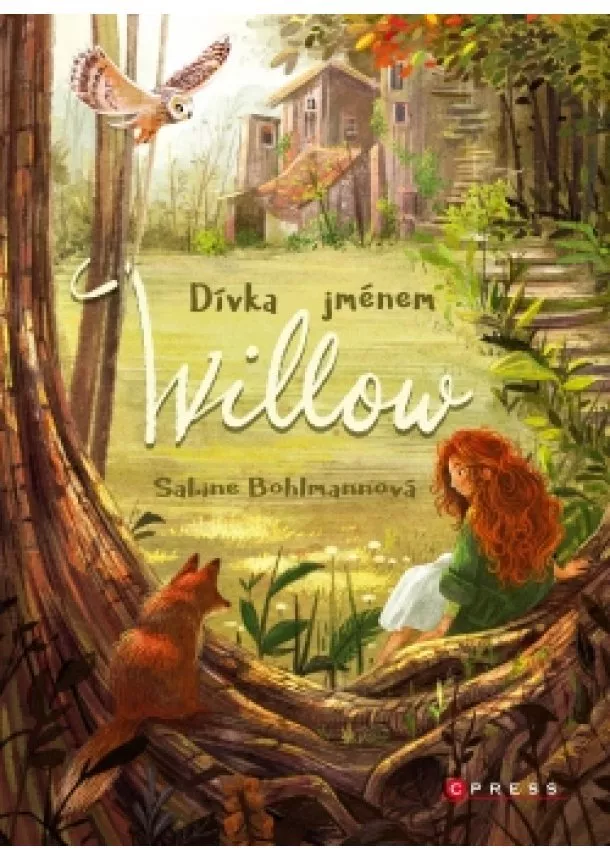 Sabine Bohlmannová - Dívka jménem Willow