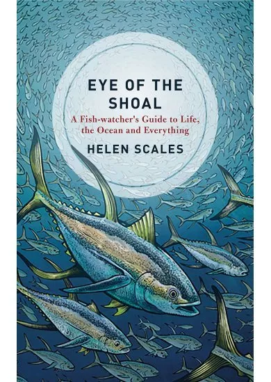 Eye of the Shoal