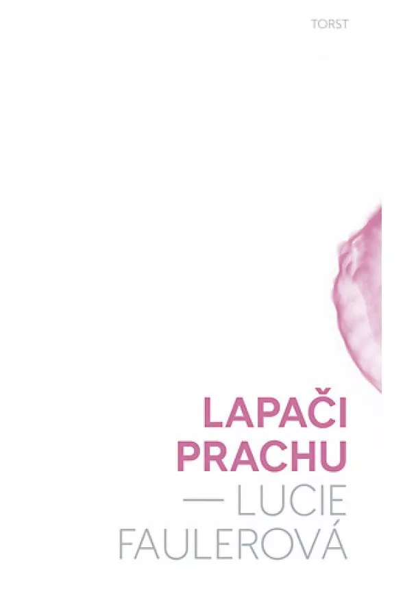 Lucie Faulerová - Lapači prachu