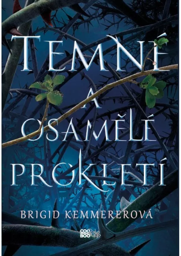 Brigid Kemmererová - Temné a osamělé prokletí 