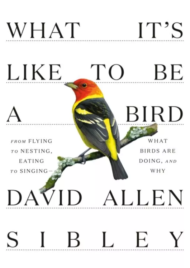 David Allen Sibley - What It's Like to be a Bird