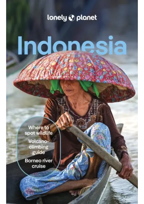  Lonely Planet, David Eimer, Jayne D'Arcy, Paul Harding, Mark Johanson, Jason Lee, Regis St Louis, Ryan Ver Berkmoes - Lonely Planet Indonesia