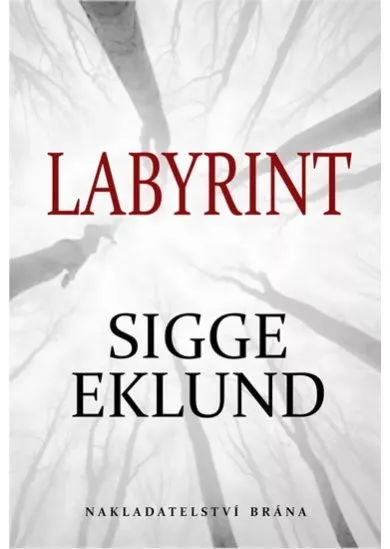 Labyrint