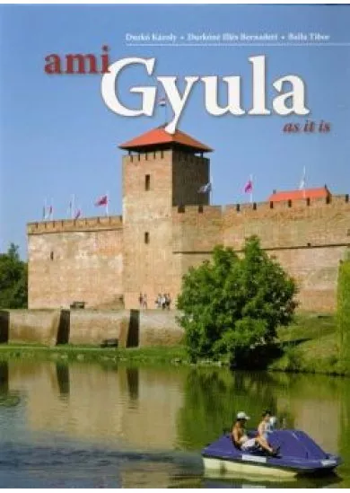 AMI GYULA (2 FÉLE BORÍTÓVAL)