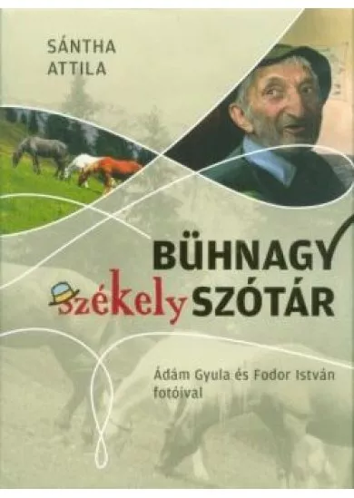 Bühnagy székely szótár