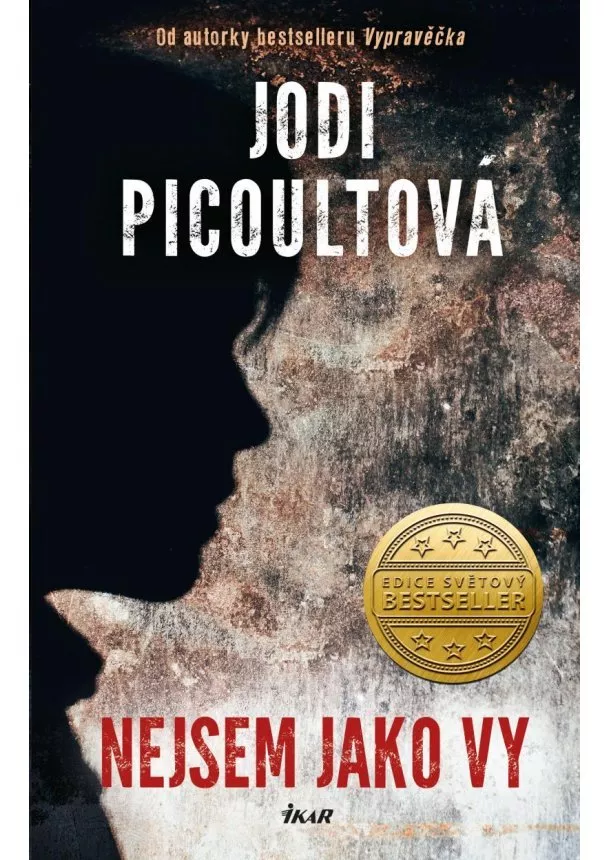 Jodi Picoultová - Nejsem jako vy