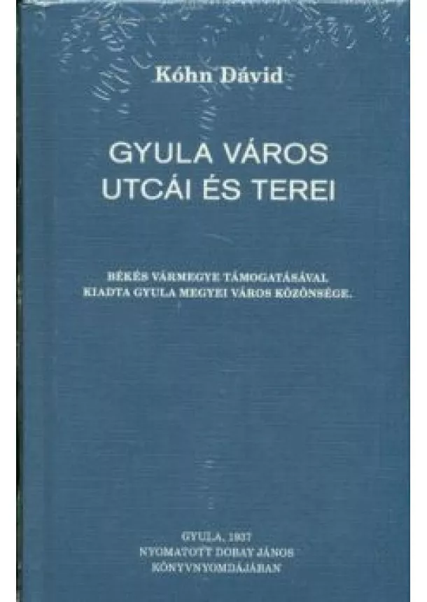 Kóhn Dávid - GYULA VÁROS UTCÁI ÉS TEREI