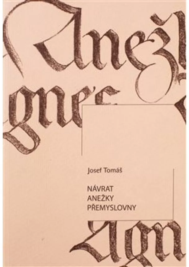 Josef Tomáš - Návrat Anežky Přemyslovny