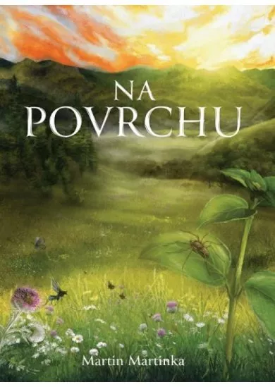 Na povrchu