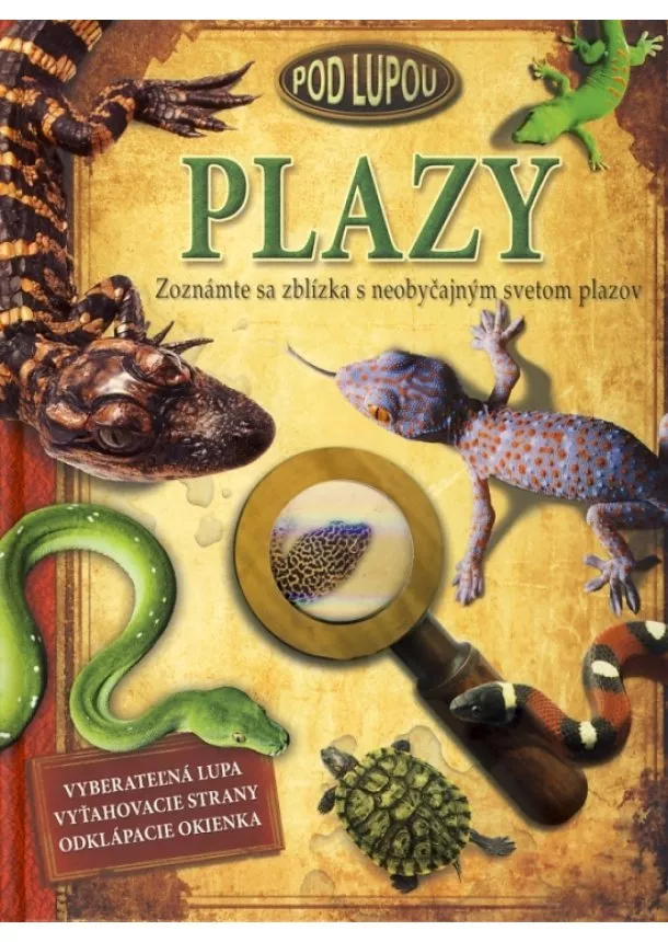 Kolektív - Plazy - Pod lupou