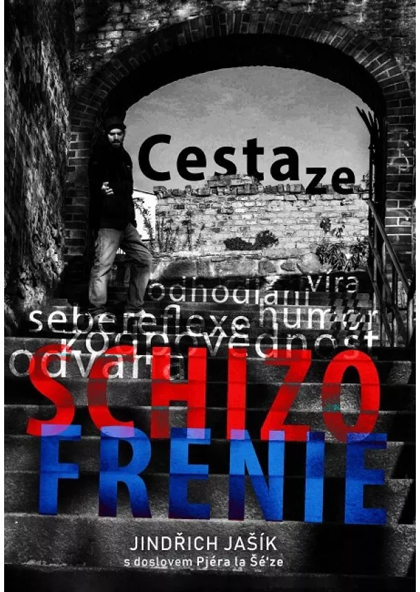 Jindřich Jašík - Cesta ze schizofrenie