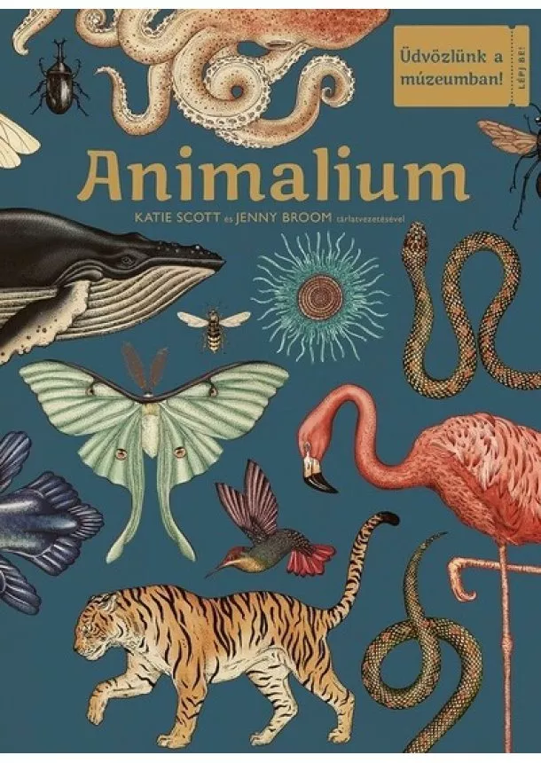 Katie Scott - Animalium -  Üdvözlünk a múzeumban!