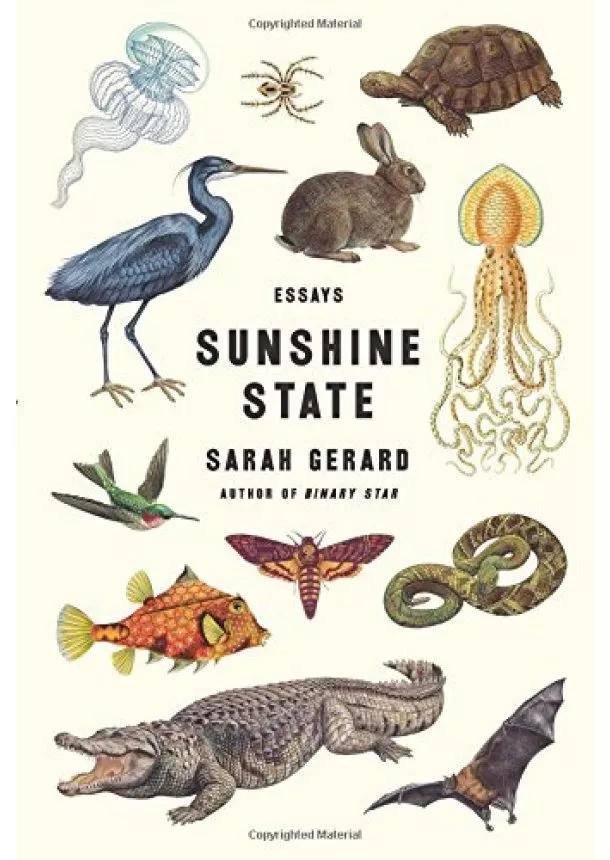 Sarah Gerard - Sunshine State: Essays