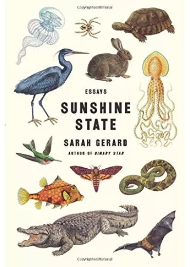 Sunshine State: Essays