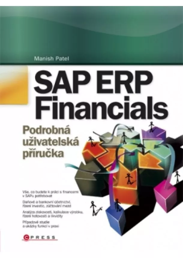 Manish Patel - SAP ERP Financials