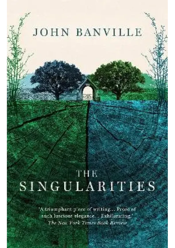 The Singularities