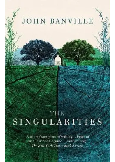 The Singularities