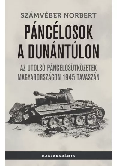 Páncélosok a Dunántúlon - Az utolsó páncélosütközetek Magyarországon 1945 tavaszán