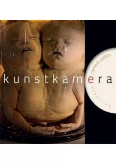 Kunstkamera