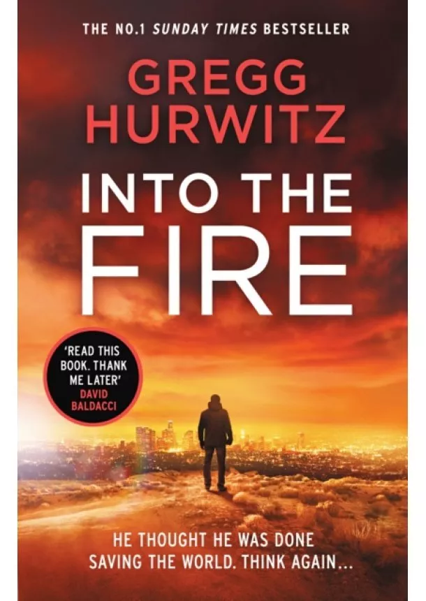 Gregg Hurwitz - Into the Fire