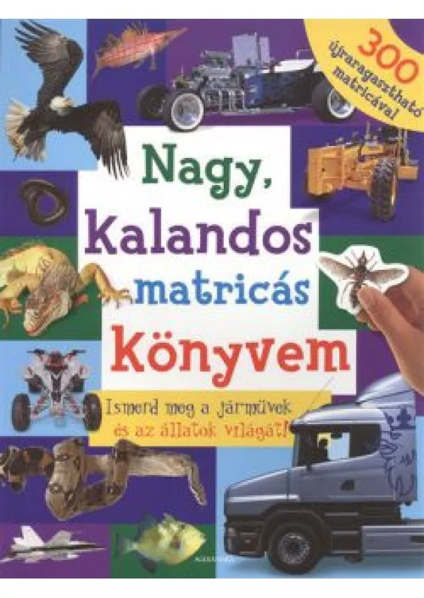 MATRICÁS KÖNYV - NAGY, KALANDOS MATRICÁS KÖNYVEM