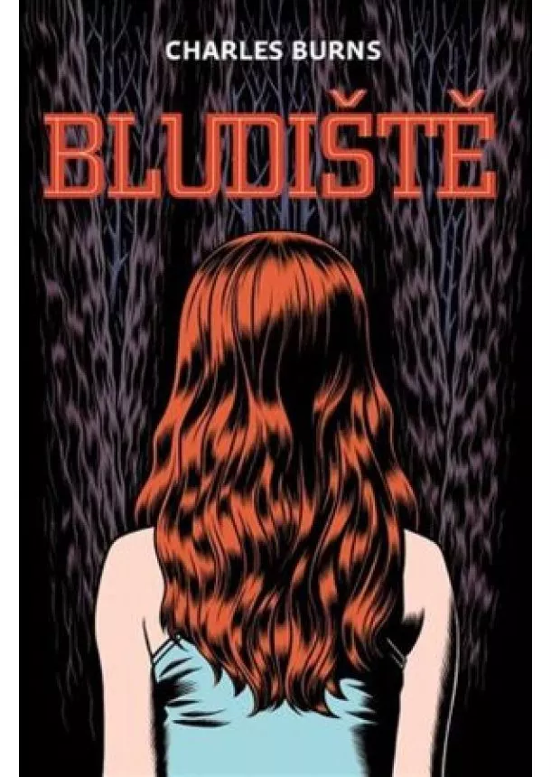 Charles Burns - Bludiště 1