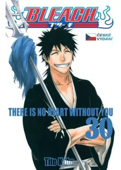 Bleach 30: There Is No Heart Without You