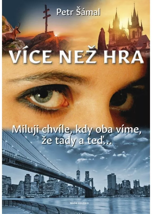 Petr Šámal - Více než hra