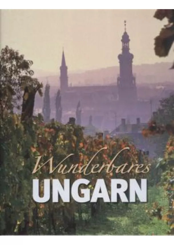 DIÓSZEGI ENDRE - WUNDERBARES UNGARN