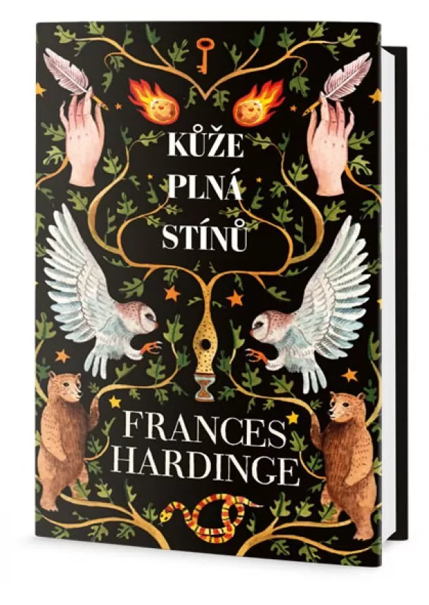 Frances Hardinge - Kůže plná stínů