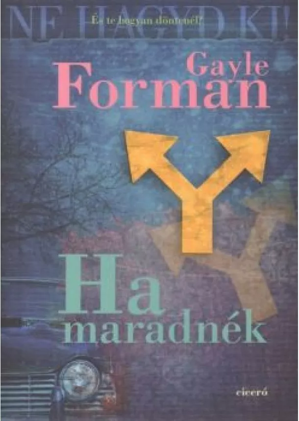 GAYLE FORMAN - HA MARADNÉK