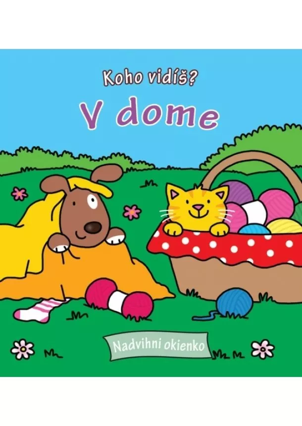 autor neuvedený - Koho vidíš ? V dome