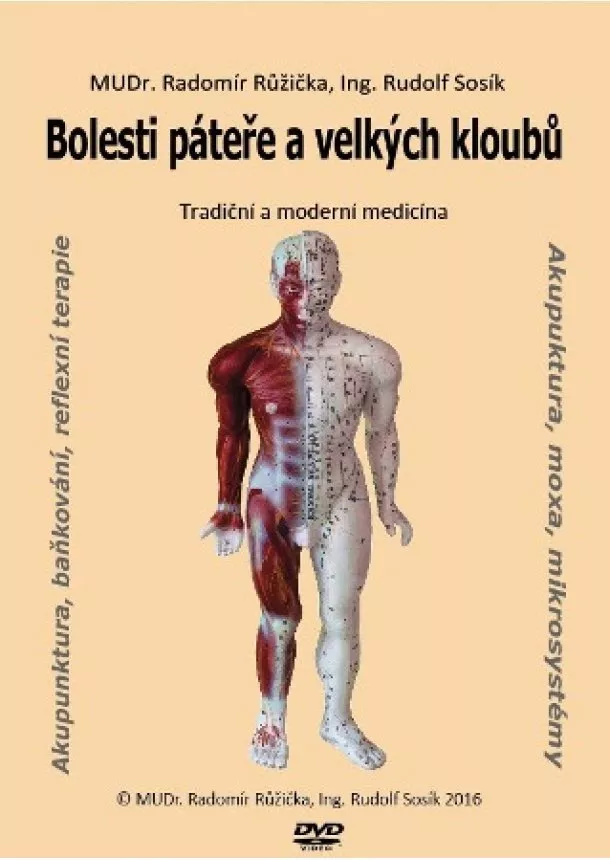 Radomír Růžička, Rudolf Sosík - Bolesti páteře a velkých kloubů 1 - Tradiční a moderní medicína