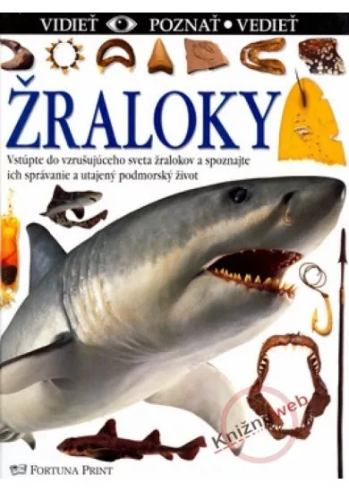 Žraloky - vidieť, poznať, vedieť