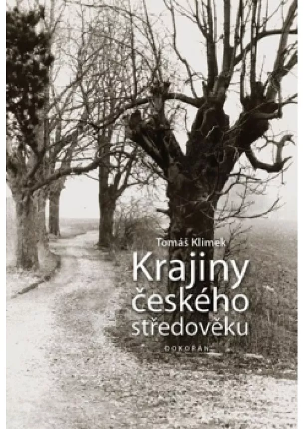 Tomáš Klimek - Krajiny českého středověku