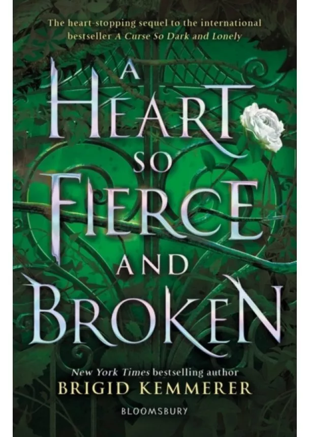 Brigid Kemmerer - Heart So Fierce and Broken