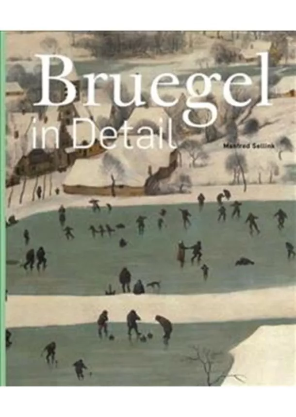 Manfred Sellink - Bruegel in Detail