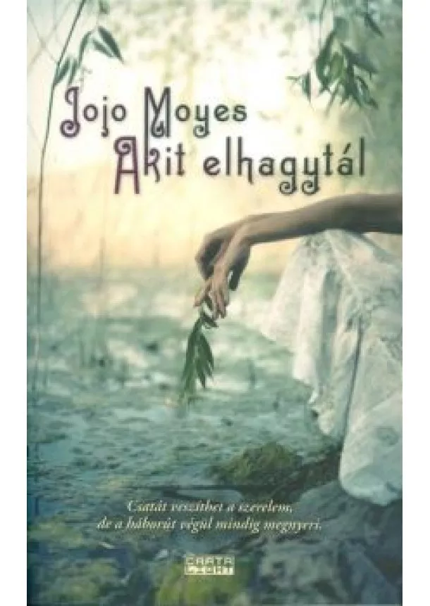 Jojo Moyes - Akit elhagytál