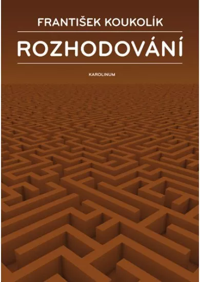 Rozhodování