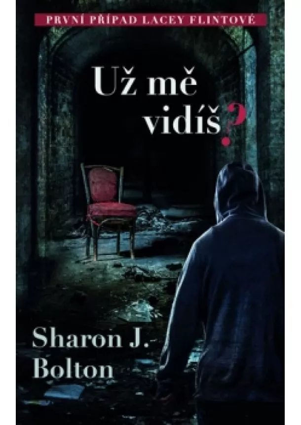 Sharon J. Bolton - Už mě vidíš?