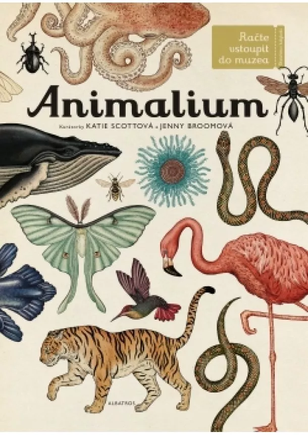 Jenny Broomová - Animalium