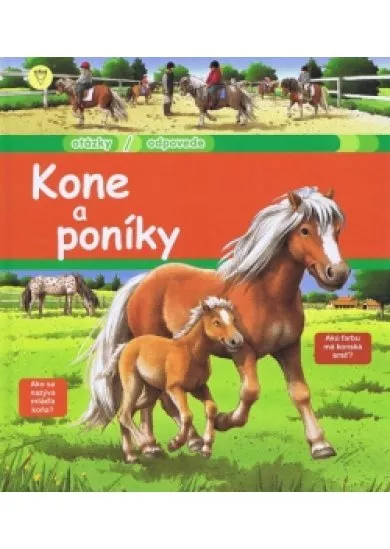 Kone a poníky