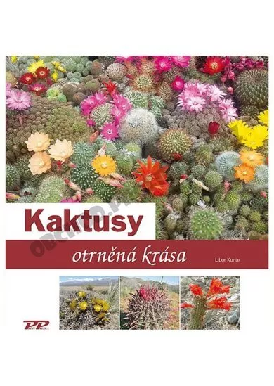 Kaktusy - Otrněná krása