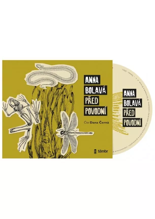 Anna Bolavá - Před povodní - audioknihovna