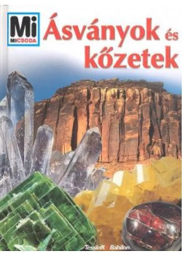 Mi Micsoda Sorozat - ÁSVÁNYOK ÉS KŐZETEK /MI MICSODA 45.