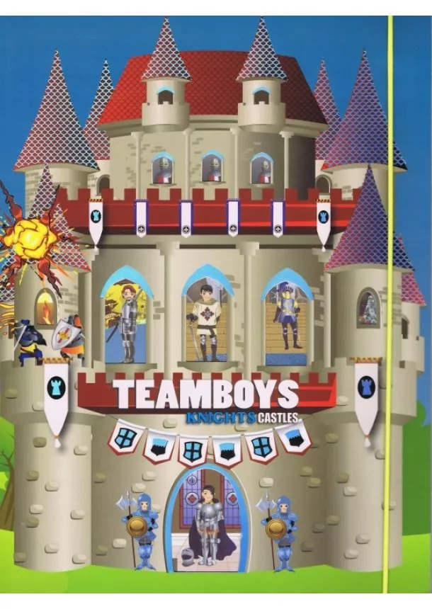 autor neuvedený - Teamboys Knights Castles