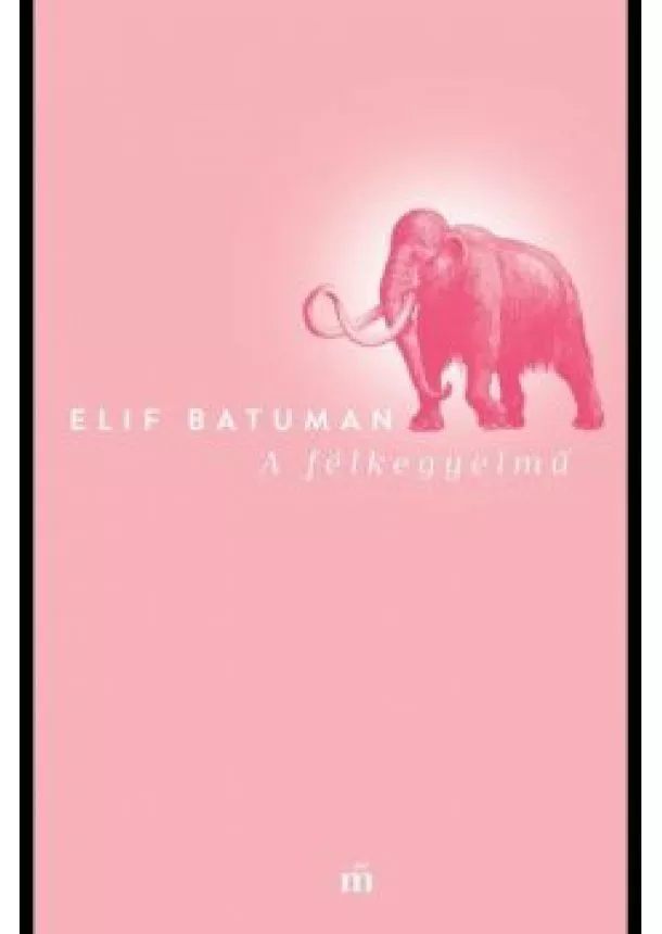 Elif Batuman - A félkegyelmű