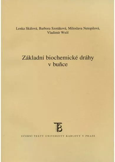 Základní biochemické dráhy v buňce