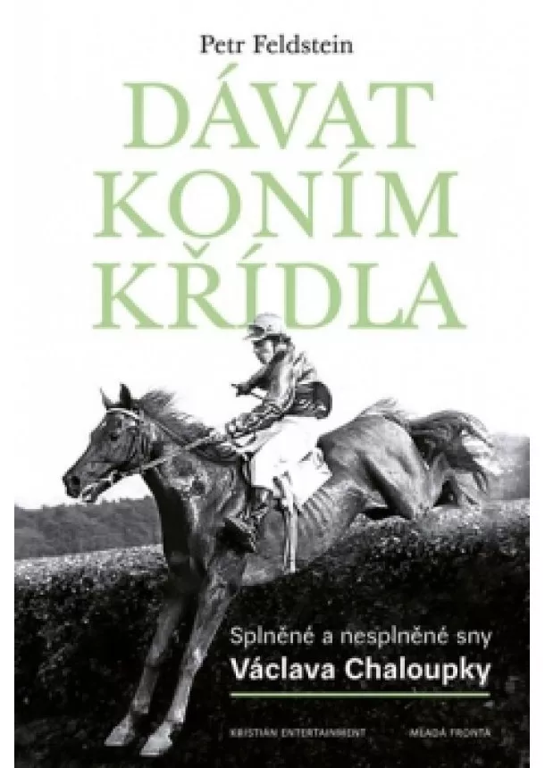 Petr Feldstein - Dávat koním křídla - Splněné a nesplněné